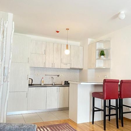 Apartman Vesna City 2. Pg ポドゴリツァ エクステリア 写真