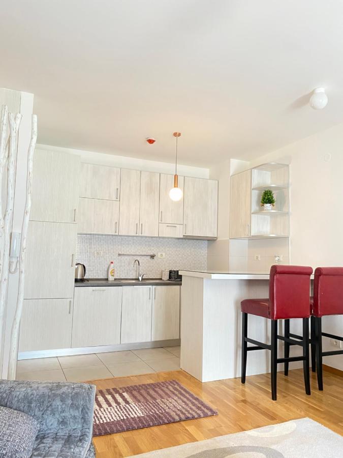 Apartman Vesna City 2. Pg ポドゴリツァ エクステリア 写真